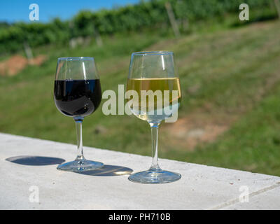 Volle Gläser aus rotem und weißem Wein an einem sonnigen Tag vor Weingut Weinreben Stockfoto