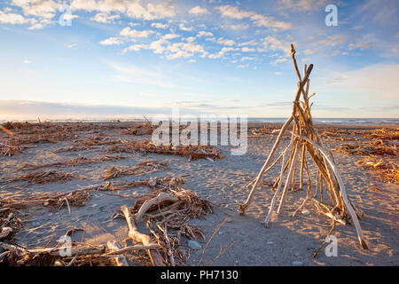 Treibholz am Strand von Hokitika, West Coast, Neuseeland. Stockfoto