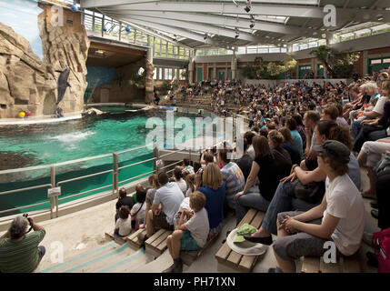 Menschen in das Delphinarium, Zoo Duisburg, Deutschland. Stockfoto