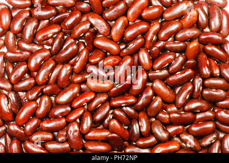 Rote Kidney-Bohnen Stockfoto