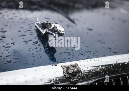 Warschau, Polen - 25. August 2018: Kühlerfigur (Springen) auf einem Jaguar Jaguar. . Gegründet 1922 Jaguar ist eine britische Luxus-PKW-Hersteller Stockfoto