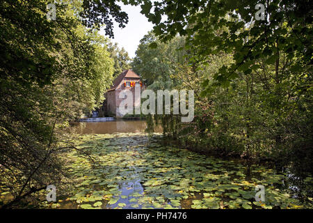 Wassermühle, Schloss Steinfurt, Drensteinfurt, Deutschland Stockfoto