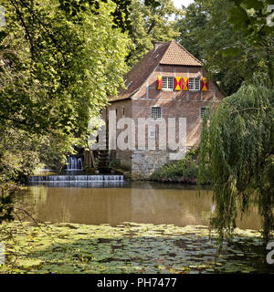 Wassermühle, Schloss Steinfurt, Drensteinfurt, Deutschland Stockfoto