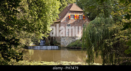 Wassermühle, Schloss Steinfurt, Drensteinfurt, Deutschland Stockfoto