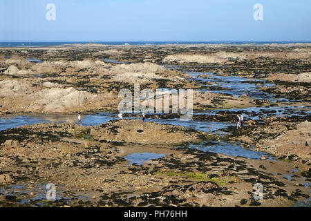 Ebbe in der Bucht von Grouville Stockfoto