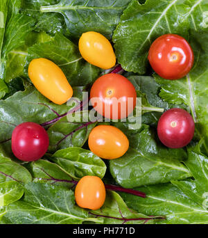 Frisch grün Blatt Salat und Tomaten gefüllte Rahmen Layout Stockfoto