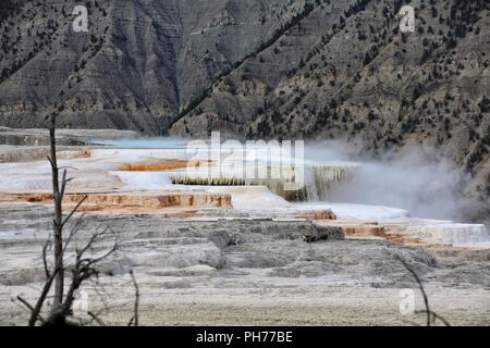 Landschaft der Farben der Kanarischen Federn Stockfoto