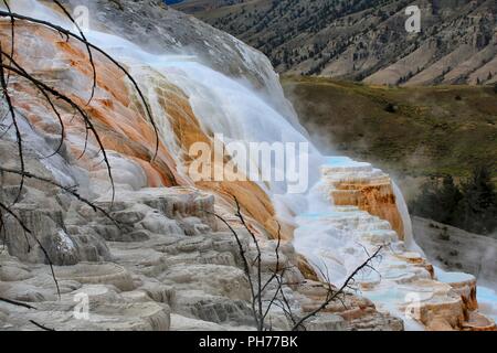 Landschaft der Farben der Kanarischen Federn Stockfoto