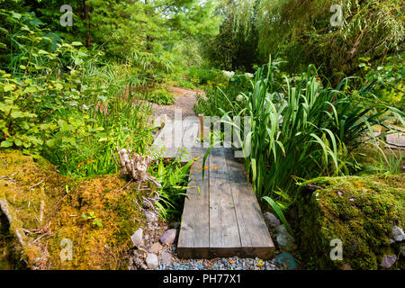 Holz- Pfad in verwilderten Garten, Templenoe, Kenmare, County Kerry, Irland Stockfoto