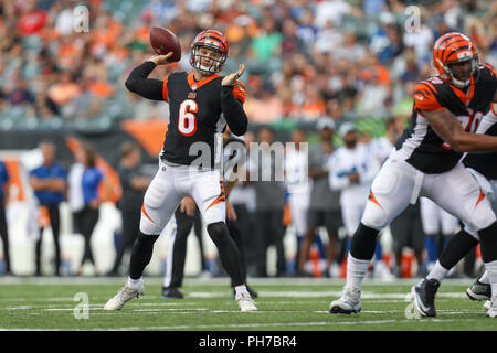 Cincinnati, Ohio, USA. 30. August 2018: Cincinnati Bengals Quarterback Jeff Driskel (6) Versuche, einen Pass für einen Touchdown in einem Spiel zwischen den Indianapolis Colts und den Cincinnati Bengals an Paul Brown Stadium in Cincinnati, OH. Adam Lacy/CSM Credit: Cal Sport Media/Alamy leben Nachrichten Stockfoto