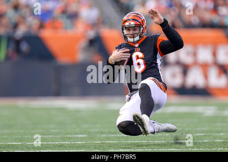 Cincinnati, Ohio, USA. 30. August 2018: Cincinnati Bengals Quarterback Jeff Driskel (6) Folien nach einem Durchlauf in einem Spiel zwischen den Indianapolis Colts und den Cincinnati Bengals an Paul Brown Stadium in Cincinnati, OH. Adam Lacy/CSM Credit: Cal Sport Media/Alamy leben Nachrichten Stockfoto
