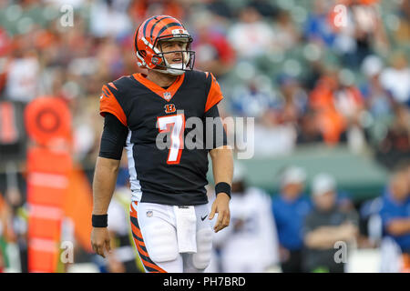 Cincinnati, Ohio, USA. 30. August 2018: Cincinnati Bengals Quarterback Matt Barkley (7) sieht zum Nebenerwerb in einem Spiel zwischen den Indianapolis Colts und den Cincinnati Bengals an Paul Brown Stadium in Cincinnati, OH. Adam Lacy/CSM Credit: Cal Sport Media/Alamy leben Nachrichten Stockfoto