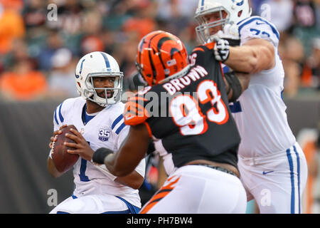 Cincinnati, Ohio, USA. 30. August 2018: die Indianapolis Colts quarterback Jacoby Brissett (7) Tropfen für einen Pass in ein Spiel zwischen den Indianapolis Colts und den Cincinnati Bengals an Paul Brown Stadium in Cincinnati, OH. Adam Lacy/CSM Credit: Cal Sport Media/Alamy leben Nachrichten Stockfoto