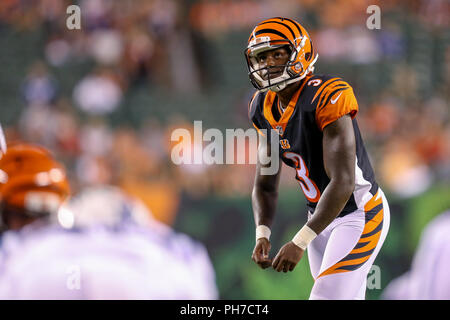Cincinnati, Ohio, USA. 30. August 2018: Cincinnati Bengals kicker Jon Braun (3) Bereiten Sie die Kugel in einem Spiel zwischen den Indianapolis Colts und den Cincinnati Bengals an Paul Brown Stadium in Cincinnati, OH zu treten. Adam Lacy/CSM Credit: Cal Sport Media/Alamy leben Nachrichten Stockfoto
