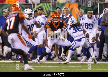 Cincinnati, Ohio, USA. 30. August 2018: Cincinnati Bengals tight end Mason Schreck (86) läuft nach einem Fang in einem Spiel zwischen den Indianapolis Colts und den Cincinnati Bengals an Paul Brown Stadium in Cincinnati, OH. Adam Lacy/CSM Credit: Cal Sport Media/Alamy leben Nachrichten Stockfoto