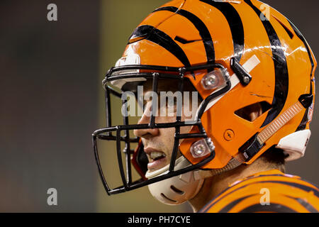 Cincinnati, Ohio, USA. 30. August 2018: Cincinnati Bengals defensive Ende Sam Hubbard (94) schaut auf in einem Spiel zwischen den Indianapolis Colts und den Cincinnati Bengals an Paul Brown Stadium in Cincinnati, OH. Adam Lacy/CSM Credit: Cal Sport Media/Alamy leben Nachrichten Stockfoto