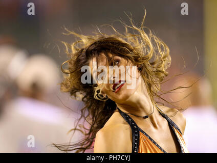 Cincinnati, Ohio, USA. 30. August 2018: ein Cincinnati Bengals Cheerleader führt in einem Spiel zwischen den Indianapolis Colts und den Cincinnati Bengals an Paul Brown Stadium in Cincinnati, OH. Adam Lacy/CSM Credit: Cal Sport Media/Alamy leben Nachrichten Stockfoto