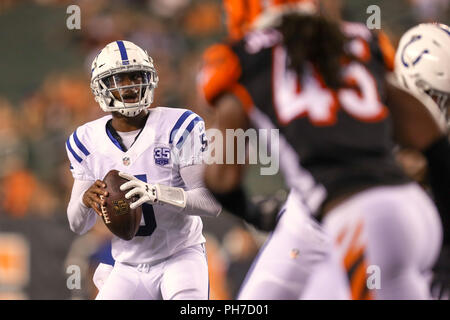 Cincinnati, Ohio, USA. 30. August 2018: die Indianapolis Colts quarterback Phillip Walker (5) sieht für einen offenen Mann in einem Spiel zwischen den Indianapolis Colts und den Cincinnati Bengals an Paul Brown Stadium in Cincinnati, OH. Adam Lacy/CSM Credit: Cal Sport Media/Alamy leben Nachrichten Stockfoto