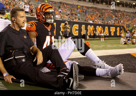 Cincinnati, Ohio, USA. 30. August 2018: Cincinnati Bengals Defensive zurück Trayvon Henderson (41) ist Gekarrt, weg vom Feld, nachdem er in einem Spiel zwischen den Indianapolis Colts und den Cincinnati Bengals an Paul Brown Stadium in Cincinnati, OH verletzt. Adam Lacy/CSM Credit: Cal Sport Media/Alamy leben Nachrichten Stockfoto