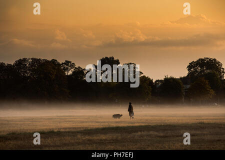 London, Großbritannien. 31. August 2018. Herbst steigt auf London, England UK 31 August 2018 früh morgens Nebel auf Wimbledon Common, im Südwesten von London steigt im Herbst ist gleich um die Ecke. Credit: Clickpics/Alamy leben Nachrichten Stockfoto