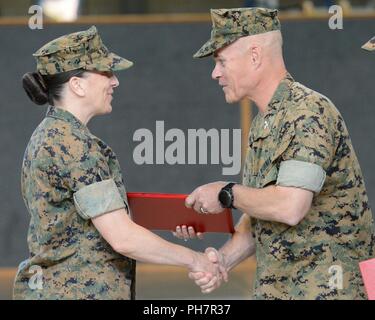 Bekämpfung der Logistik Regiment 4 befehlshabenden Offizier, Oberst Thomas Fahy zeichnet die scheidenden Kommandeur Oberstleutnant Kathryn Miller am Inspector-Instructor, Bekämpfung Logistik Bataillon 23 Ändern des Befehls und Ruhestand Zeremonie am Joint Base Lewis-McChord, 20. Juni 2018. (US Army Stockfoto