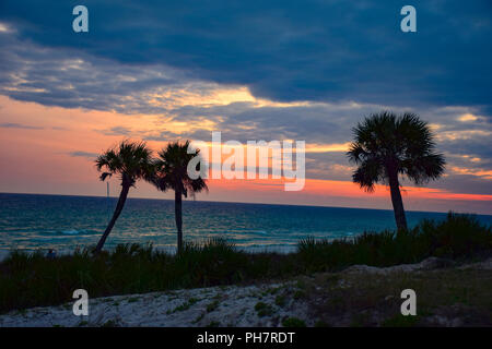 Schöne Palmen Sonnenuntergang Silhouette in Panama City Beach, Florida, FL, USA Stockfoto