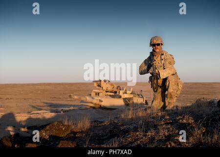 SSG Dustin Schwarz, ein infanterist von B1-163, Montana, Army National Guard, bereitet eine defensive Position als Teil eines Unternehmens für die Bereiche Verteidigung, während eine exportierbare Kampftraining Fähigkeit Rotation an der Orchard Combat Training Center, südlich von Boise, Idaho, 22. Juni 2018. Soldaten, die in den 116 Kavallerie Brigade Combat Team in ihrem xCTC Rotation an OCTC in Vorbereitung für seine National Training Center Rotation im Juni 2019. Mehr als 3.000 Soldaten aus mindestens fünf Army National Guard, der U.S. Army, der U.S. Army Reserve und der Britischen Armee finden 10 Stockfoto