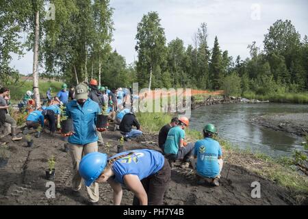 Die Pacific Air Kräfte' F-16 Demonstration Team Pflanzen Vegetation von einem Ufer mit den Jugendlichen in den Parks programm mitglieder in Anchorage, Alaska, 29. Juni 2018. Das JEV-Programm bietet eine 10-wöchige Sommerprogramm, Anmietung von Anchorage Teens zu Park verbesserung Projekte abgeschlossen. Die Teilnehmer lernen das Management von natürlichen Ressourcen berufliche Fähigkeiten durch den Bau von Wanderwegen und Wiederherstellung Stream Banken. Stockfoto