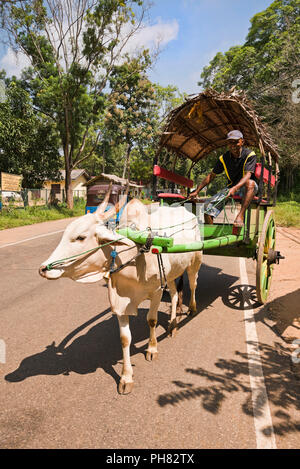 Vertikale Ansicht eines Ochsen gezogenen Wagen in Sri Lanka. Stockfoto