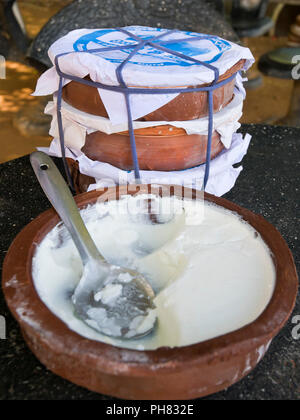 Vertikale in der Nähe der traditionellen Buffalo Quark in Sri Lanka. Stockfoto