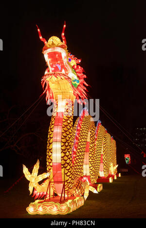 Chinesische Drachen, beleuchtete Abbildung, leichte Installation, China Light Festival, Zoo Köln, Köln, Nordrhein-Westfalen Stockfoto