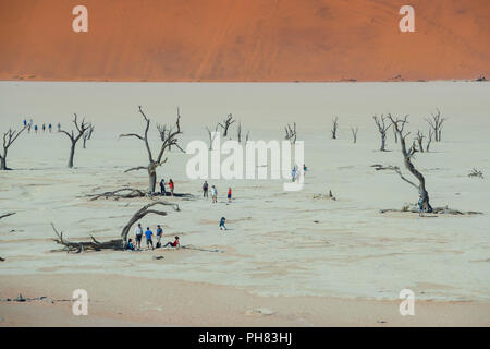 Touristen zwischen Toten camelthorn Bäume (Acacia Erioloba) vor der Sanddünen, Dead Vlei, Sossusvlei, Namib Wüste Stockfoto