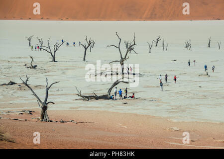 Touristen zwischen Toten camelthorn Bäume (Acacia Erioloba) vor der Sanddünen, Dead Vlei, Sossusvlei, Namib Wüste Stockfoto