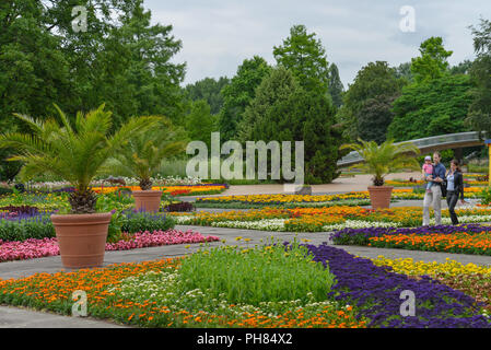 Rheinpark, Köln, 92660 Stockfoto