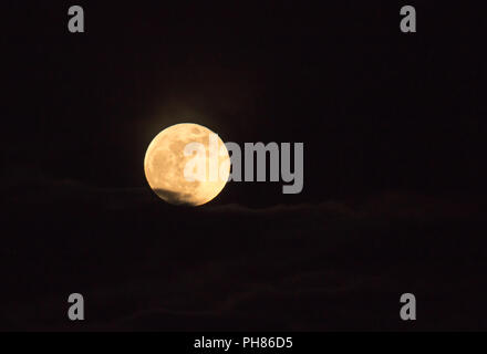 Vollmond, ein Blue Moon, Blut Mond und auch ein Supermoon, steigende hinter Cloud am 31. Januar 2018 Stockfoto