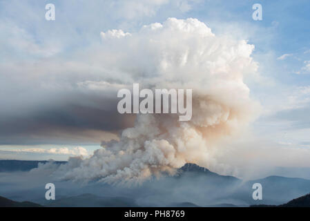 Verringerung der Brandgefahr am Mount Solitary, Blue Mountains, Australien Stockfoto