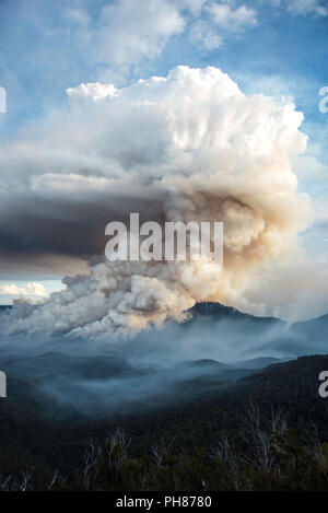 Verringerung der Brandgefahr am Mount Solitary, Blue Mountains, Australien Stockfoto