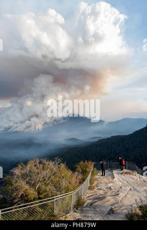 Verringerung der Brandgefahr am Mount Solitary, Blue Mountains, Australien Stockfoto