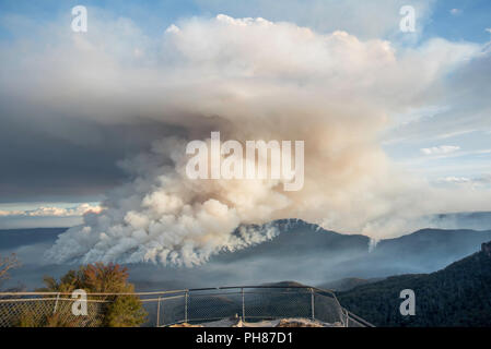 Verringerung der Brandgefahr am Mount Solitary, Blue Mountains, Australien Stockfoto