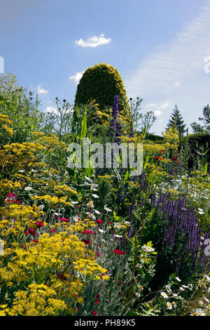 GREAT DIXTER BUNTE SOMMERBLUME GRENZE UK Stockfoto