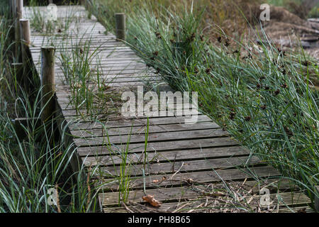 Rustikale hausgemachte Holzsteg, der den sicheren Zugriff auf die Anlegestelle für Boote bei Skippool Creek auf dem Fluss Wyre in Lancashire, England, Großbritannien Stockfoto