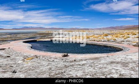 Laguna y Termas de Polques Hot Springs Pool mit dem Salar de Chalviri im Hintergrund, Reserva Eduardo Avaroa, Potosi, Bolivien Stockfoto