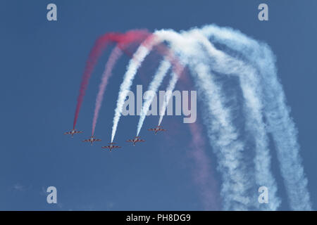 PZL TS - 11 ISKRA Polnisches Kunstflugteam. Stockfoto