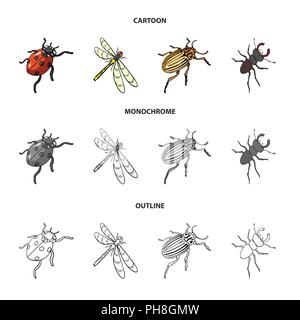 Gliederfüßer Insekten Marienkäfer, Libelle, Käfer, Colorado Käfer Insekten set Sammlung Icons im Cartoon, Outline, Schwarzweiß-Stil vektor Symbol lieferbar ist Stock Vektor