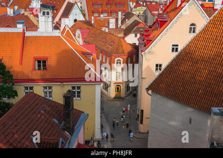 Tallinn Straße, Blick über die Dächer von Orange in Richtung einer engen Straße in der mittelalterlichen Altstadt von Tallinn, Estland. Stockfoto