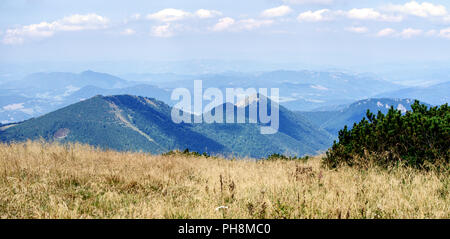 Trockene Almwiesen mit Blick auf bewaldete Gipfel und weit entfernte Täler im Nationalpark Malá Fatra in der Slowakei Stockfoto