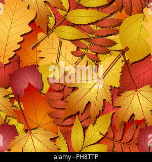 nahtlos mit Herbstlaub Stockfoto
