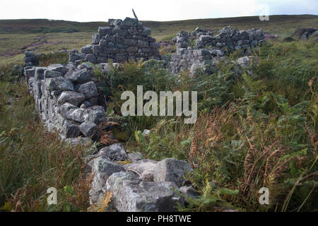 Schottland. Sutherland. Handa Island. Eine abandonned und baufälligen Croft. Stockfoto