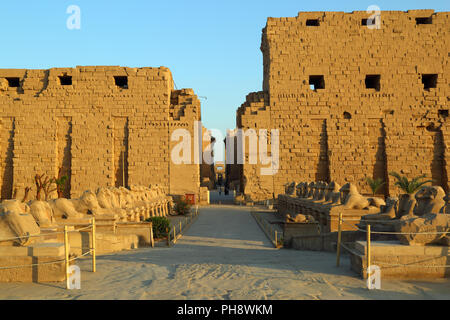 Ägypten-Statuen der Sphinx im Karnak-Tempel Stockfoto