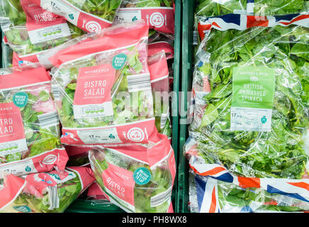 Bistro Salat und Spinat in Verpackungen aus Kunststoff in Aldi Supermarkt, Großbritannien Stockfoto